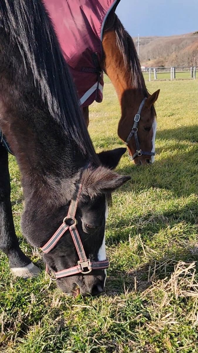 ac8f66771643a4304706d5ed049e3db0-1765760798.jpg ac8f66771643a4304706d5ed049e3db0-1765760798.jpg